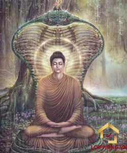 Phật là người đã giác ngộ, thấu hiểu được sự thật và chân lý, mang chân lý đó truyền đạt tới chúng sinh